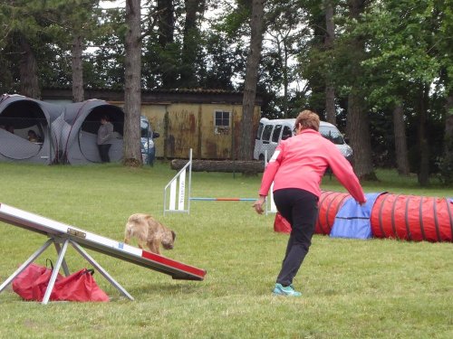 Concours d'agility, Daix, 17 juin 2018