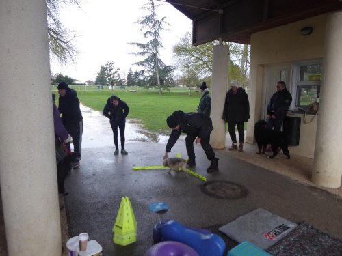 Stage de Fitness canin, 27 janvier 2019