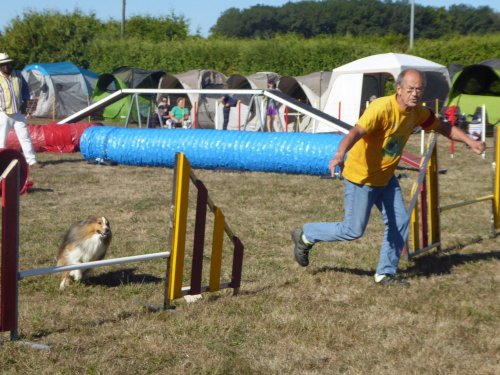 Concours d'agility, Autun, 9 septembre 2018