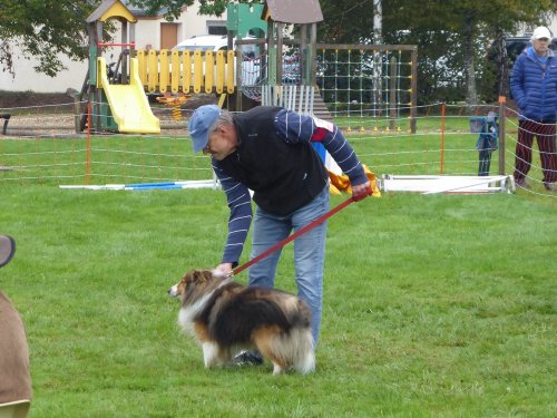 Concours d'agility, Sainte Marie la Blanche, 20 octobre 2019