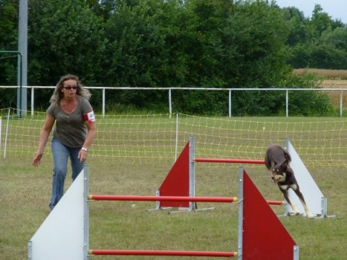 Concours d'agility, Magny sur Tille, 2 juillet 2017