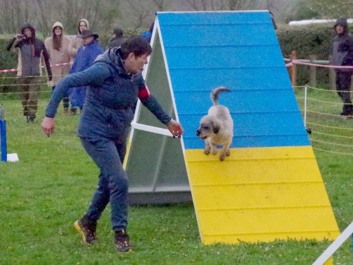 Concours d'agility, Barges, 31 mars 2024