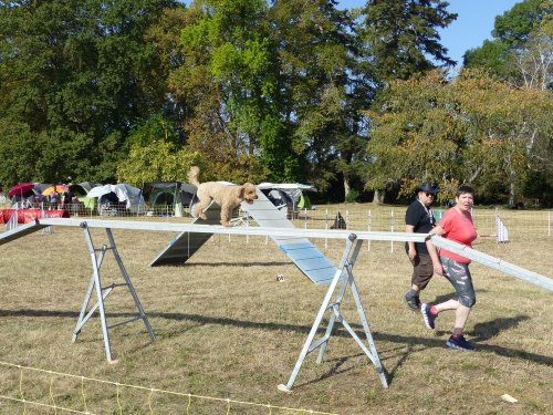 Concours d'agility de Fontaines, le 15 septembre 2019