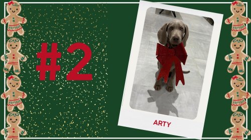 Concours photos 2024 : sur le thème de Noël