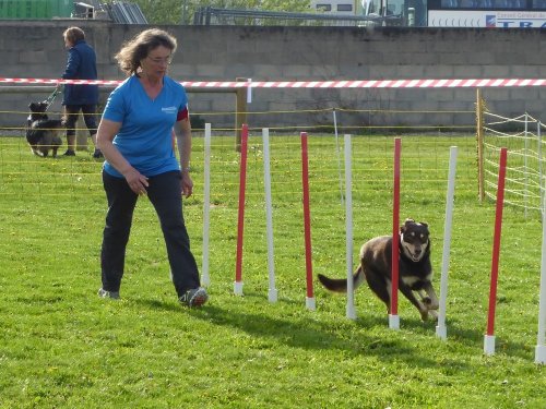 Concours d'agility, Barges, 21 avril 2019