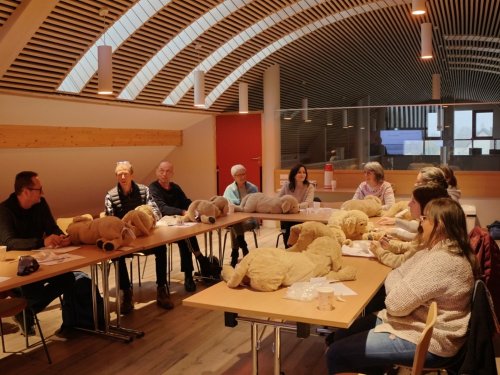 Formation secours canin 1er trimestre 2025