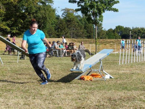 Concours d'agility de Fontaines, le 16 septembre 2018