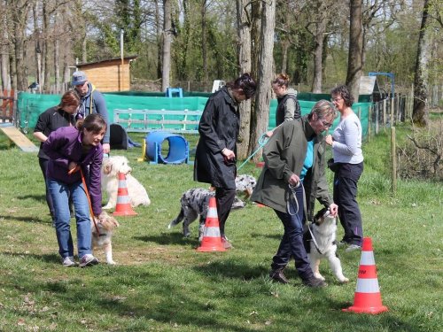 Cours d'éducation du 7 avril 2018