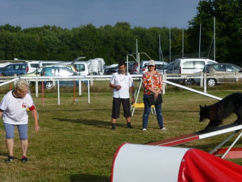 Concours d'agility, Montret, 30 juillet 2017