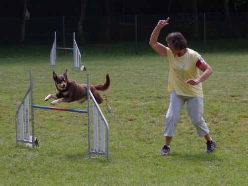 Concours d'agility, Daix, 17 juin 2018