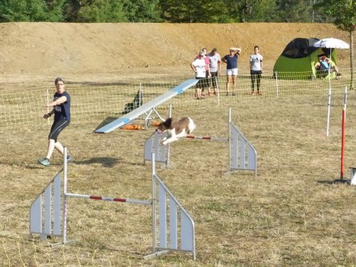 Concours d'agility de Fontaines, le 15 septembre 2019