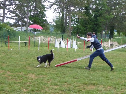 Concours d'agility, Messigny Vantoux, 12 et 13 mai 2018