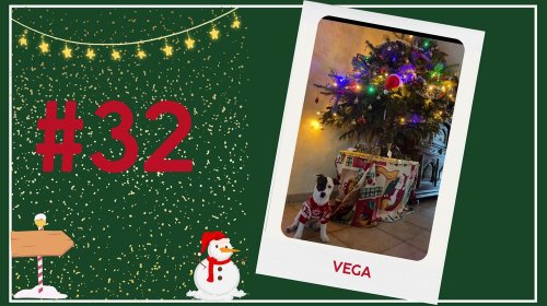 Concours photos 2024 : sur le thème de Noël
