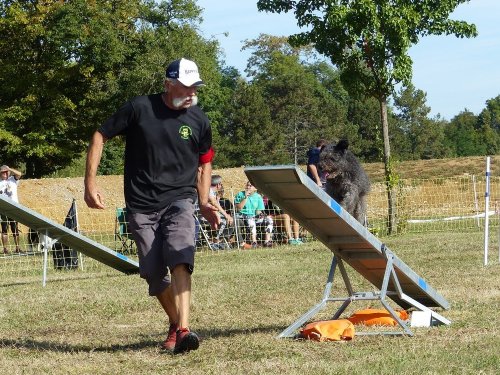 Concours d'agility de Fontaines, le 16 septembre 2018