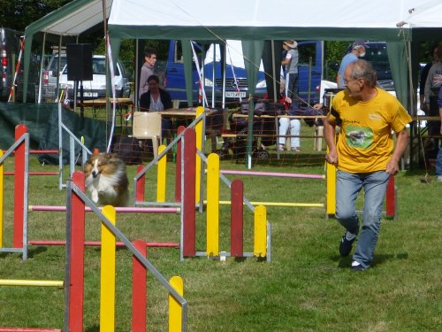 Concours d'agility, Autun, 10 septembre 2017