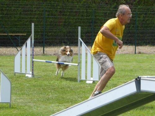 Concours d'agility, Montbard, 24 juin 2018