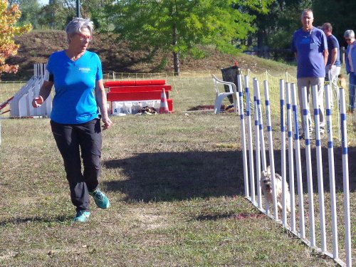 Concours d'agility, Fontaines 11 septembre 2022