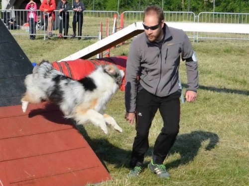 Concours d'agility, Le Creusot, 24 mai 2015