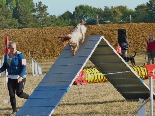 Concours d'agility de Fontaines, le 15 septembre 2019