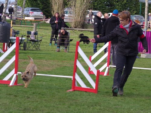 Concours d'agility, Barges, 1 avril 2018