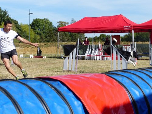 Concours d'agility de Fontaines, le 16 septembre 2018