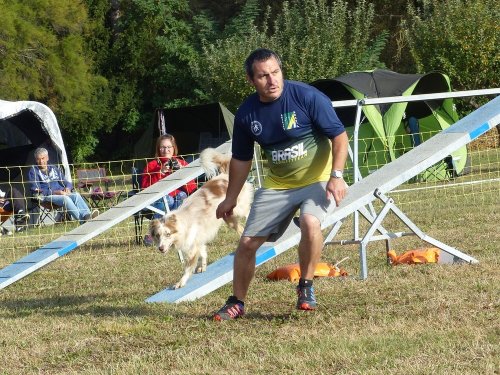 Concours d'agility de Fontaines, le 16 septembre 2018