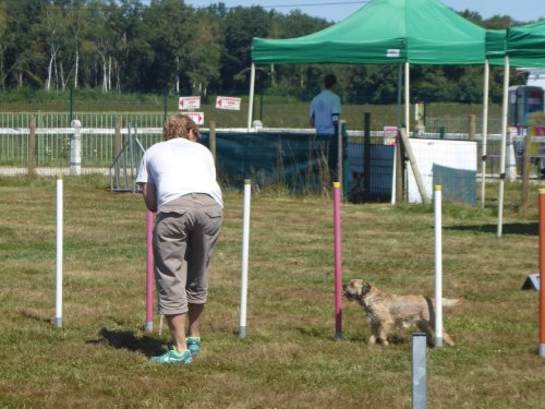 Concours d'agility, Montret, 29 juillet 2018