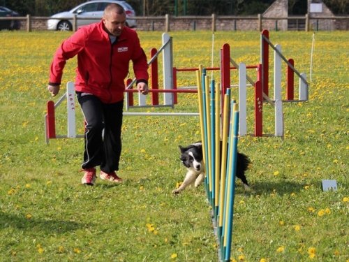 Premier concours d'agility de Fontaines, le 12 avril 2015