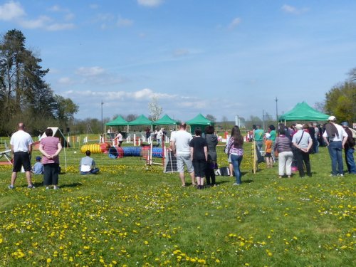Premier concours d'agility de Fontaines, le 12 avril 2015