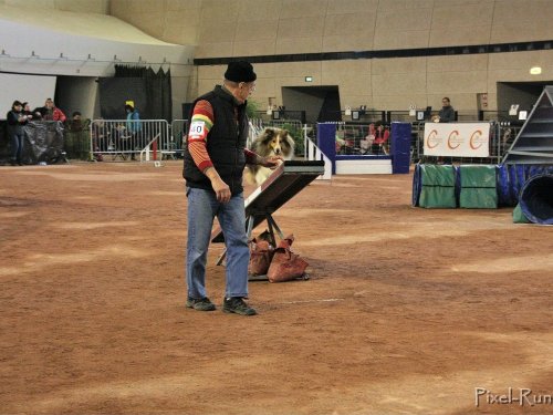 Concours d'agility, Le Creusot, 25 novembre 2018