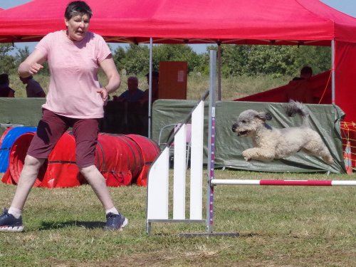 Concours d'agility, Fontaines 9 et 10 septembre 2023