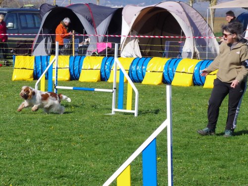 Concours d'agility, Barges, 9 avril 2023