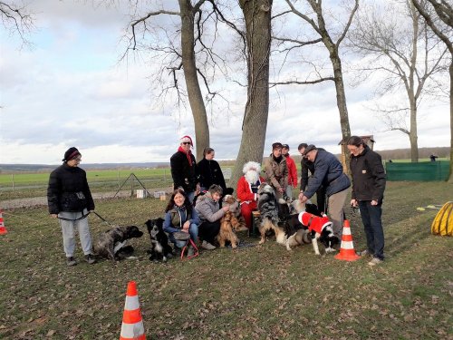 Education canine, 21 décembre 2019