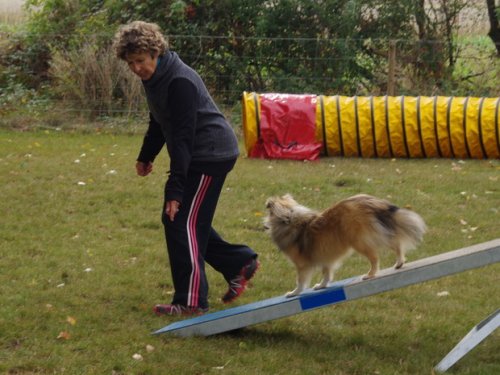 CAESC et Pass-agility Fontaines 17 septembre 2016