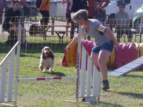 Concours d'agility, Fontaines, 9 et 10 septembre 2023