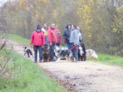 Education canine, 3 décembre 2022