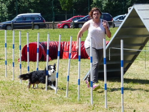 Concours d'agility de Fontaines, le 28 mai 2017