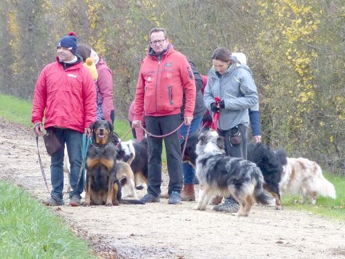 Education canine, 3 décembre 2022