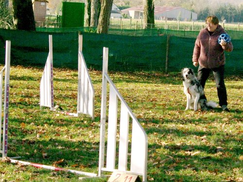 Stage d'agility, 26 novembre 2023