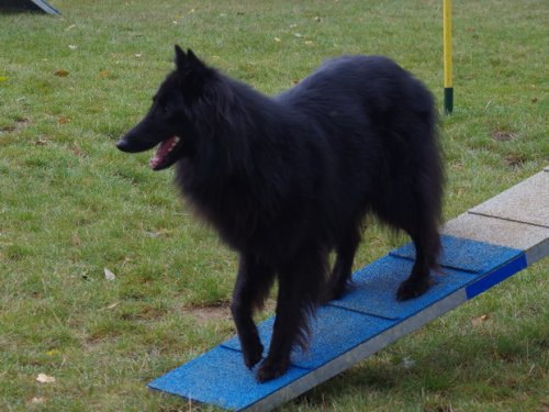 CAESC et Pass-agility Fontaines 17 septembre 2016