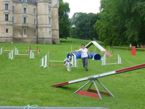 Démonstration à Bresse sur Grosne les 2 et 3 août 2014