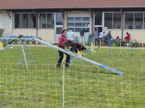 Démonstration au lycée agricole de Fontaines le 18 mars 2018