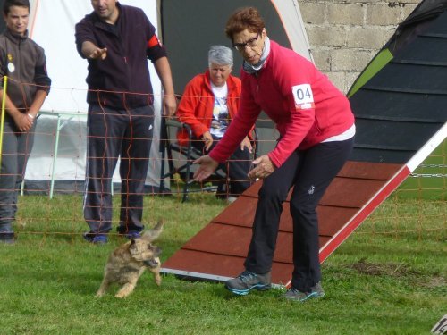 Concours d'agility, Autun, 10 septembre 2017