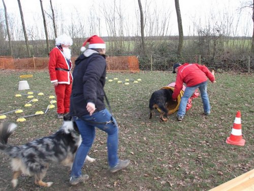 Education canine, 21 décembre 2019