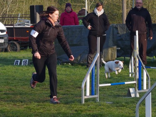 Concours d'agility, Gergy, 14 avril 2019