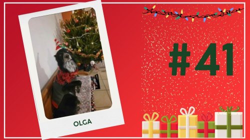Concours photos 2024 : sur le thème de Noël