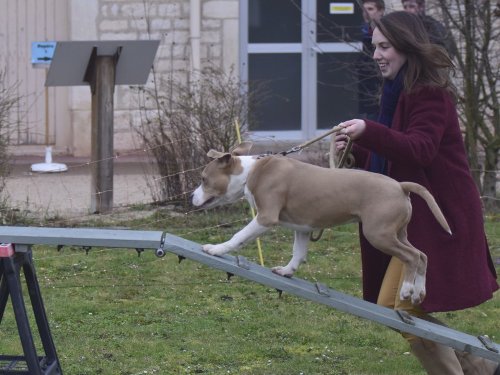 Démonstration au lycée agricole de Fontaines le 18 mars 2018