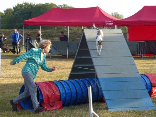 Concours d'agility de Fontaines, le 16 septembre 2018