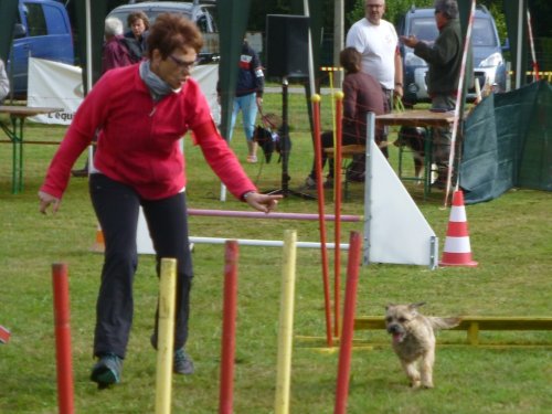 Concours d'agility, Autun, 10 septembre 2017