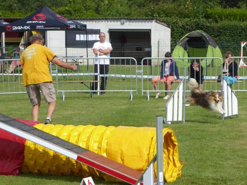 Concours d'agility, Montbard, 24 juin 2018